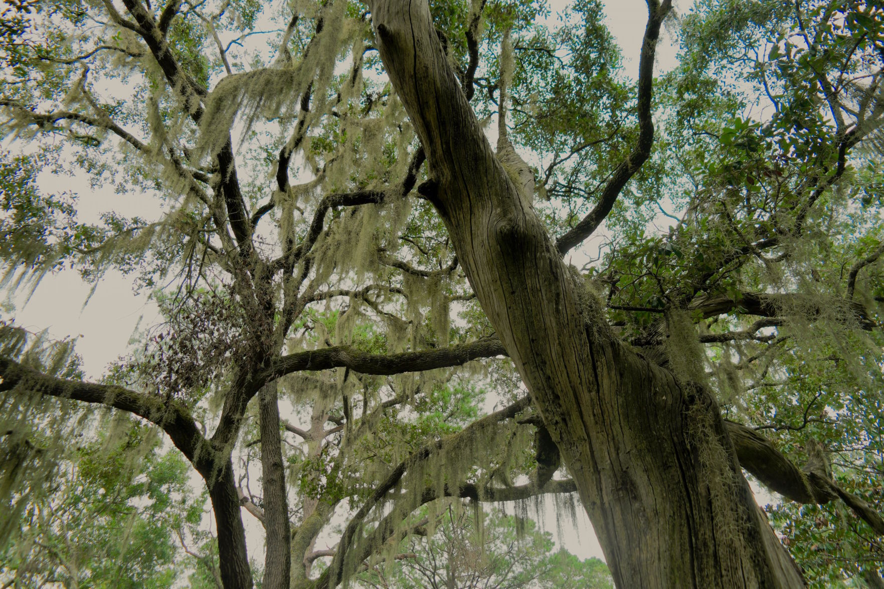 10. South Carolina